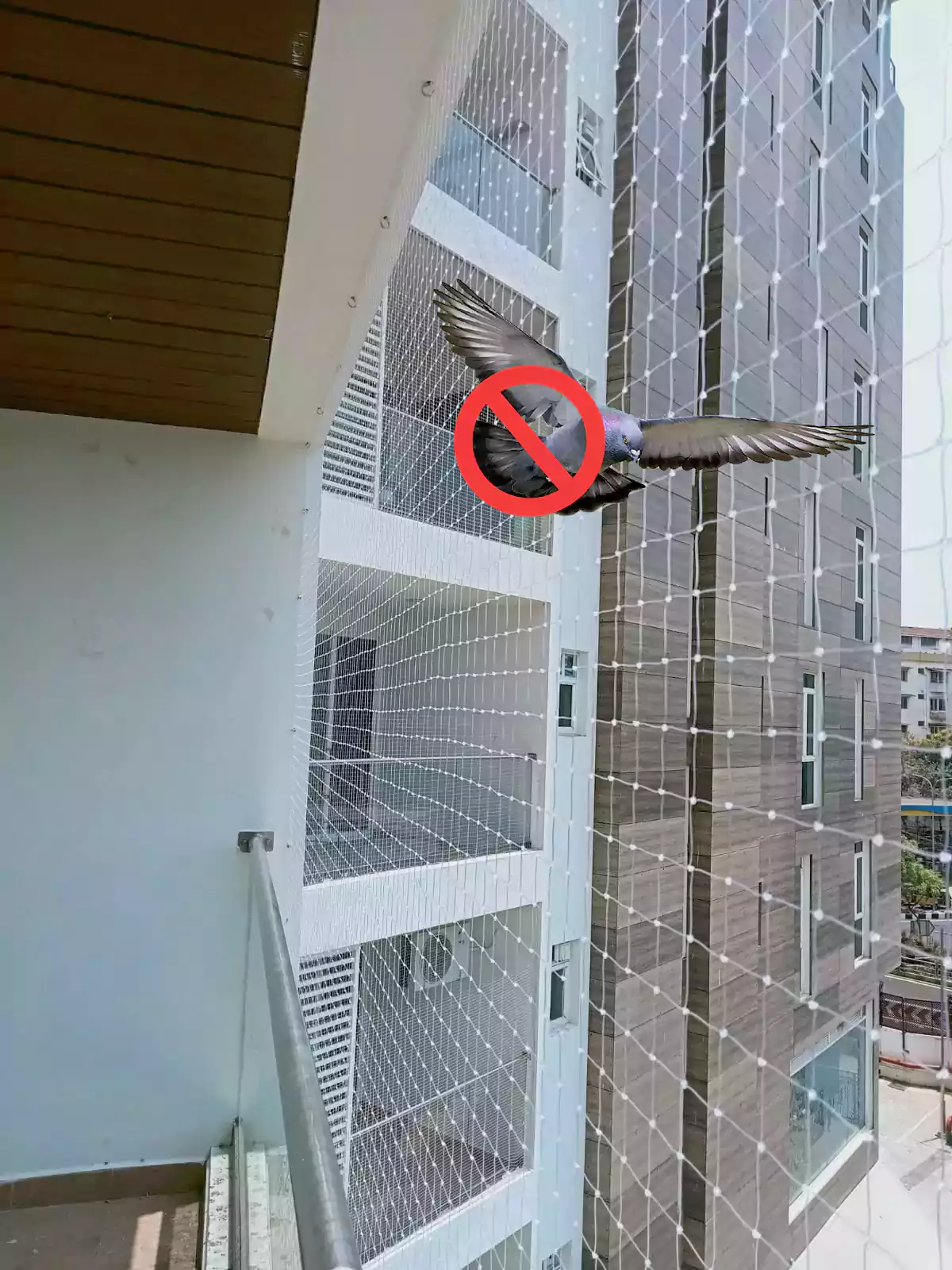 service - Pigeon Safety Net Near Me